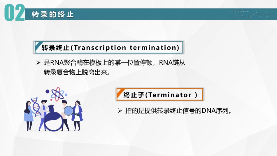 (11)--06原核生物RNA转录终止机制_第3页