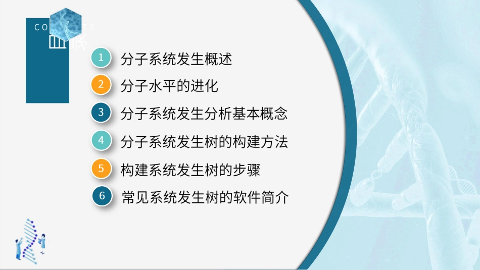 (11)--6.1 分子系统发生概述_第2页