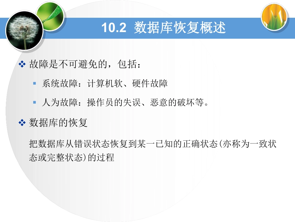 (11)--第10章 -2-数据库恢复概述及故障的种类_第3页