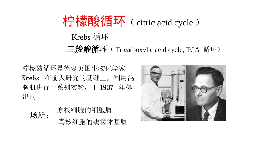 (11)--柠檬酸循环生物化学_第1页