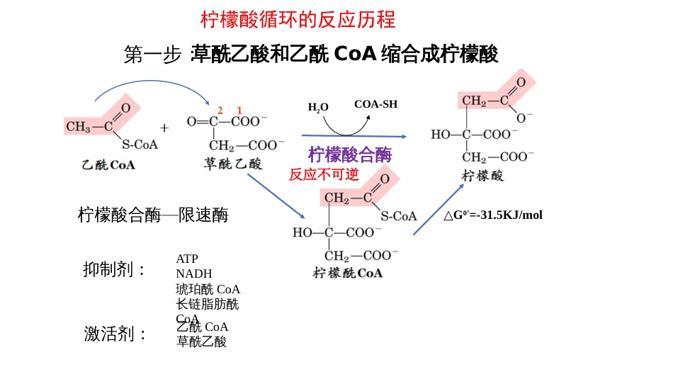 (11)--柠檬酸循环生物化学_第3页