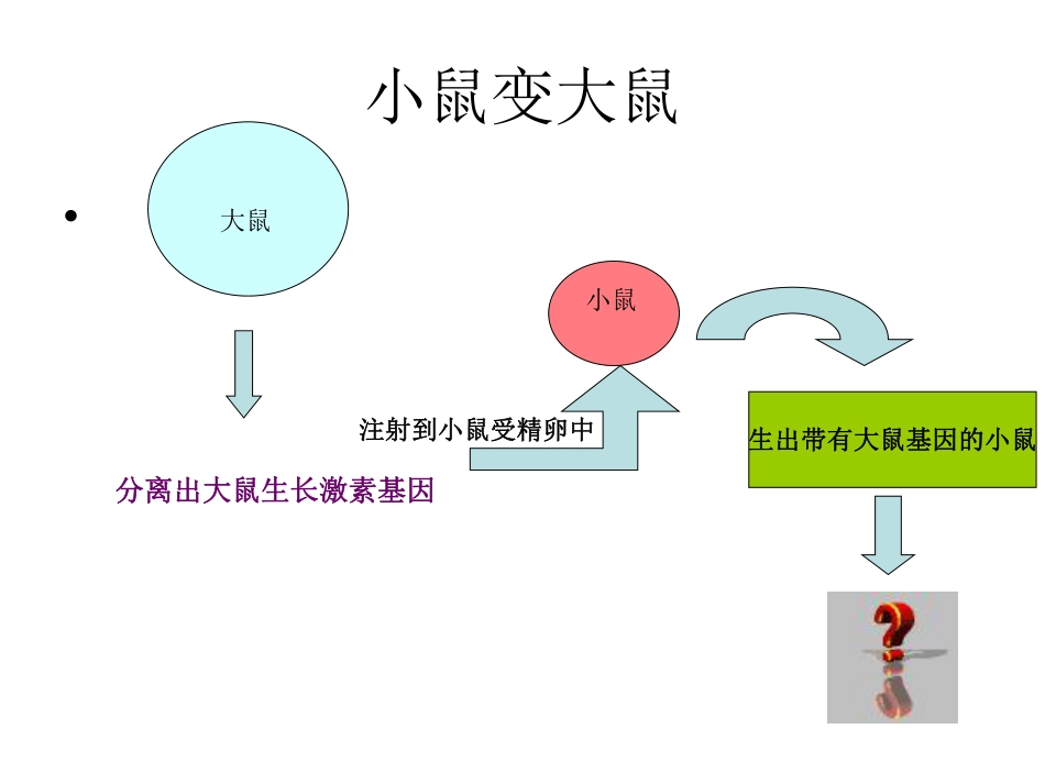 (13)--9 现代生物技术应用_第3页