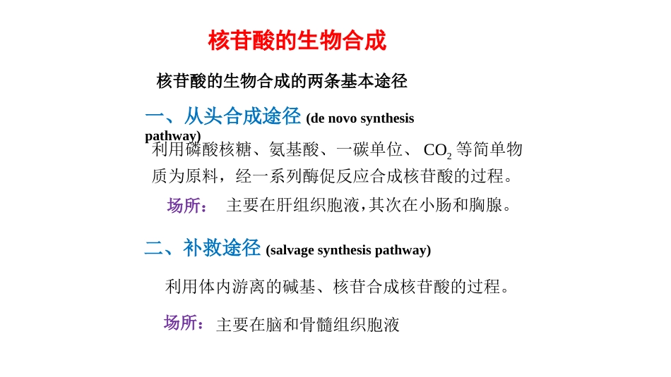 (13)--核苷酸的生物合成_第2页