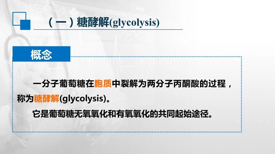 (14)--4.1 糖的无氧氧化生物化学与分子生物学_第3页