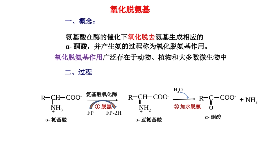 (15)--氧化脱氨基生物化学_第1页