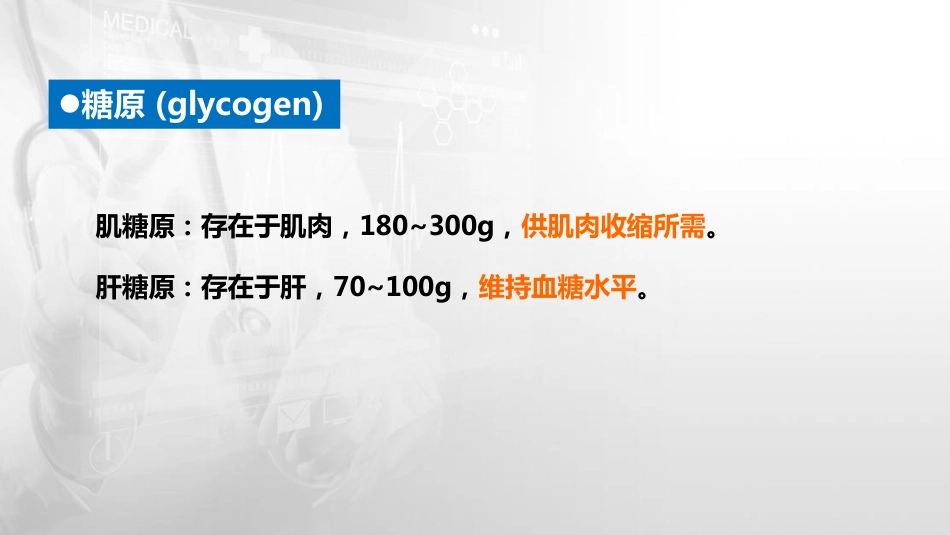 (17)--4.4 糖原的合成与分解_第2页