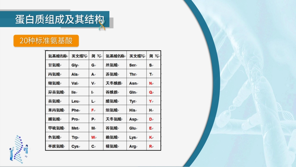 (19)--2.3.4生物大分子及其机构-蛋白质及其结构_第3页