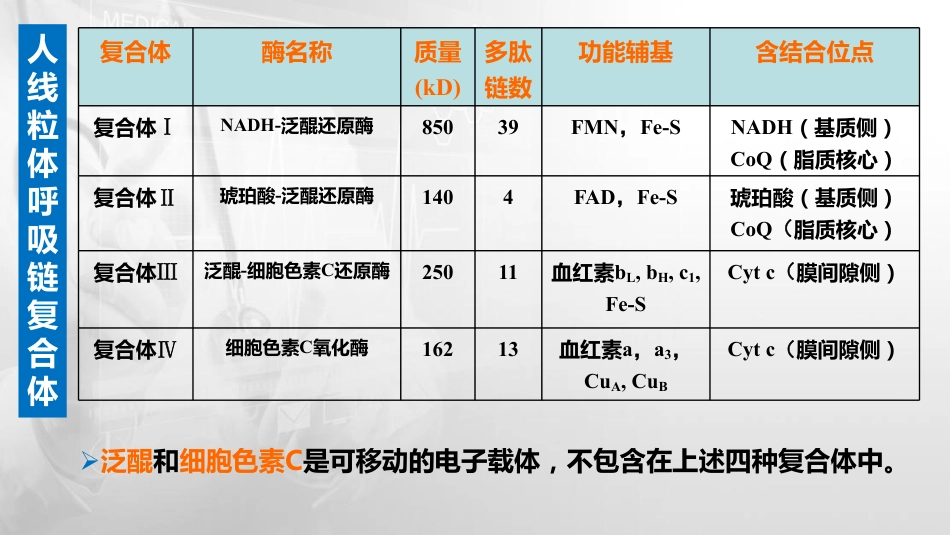 (21)--5.2 体内重要的呼吸链_第3页