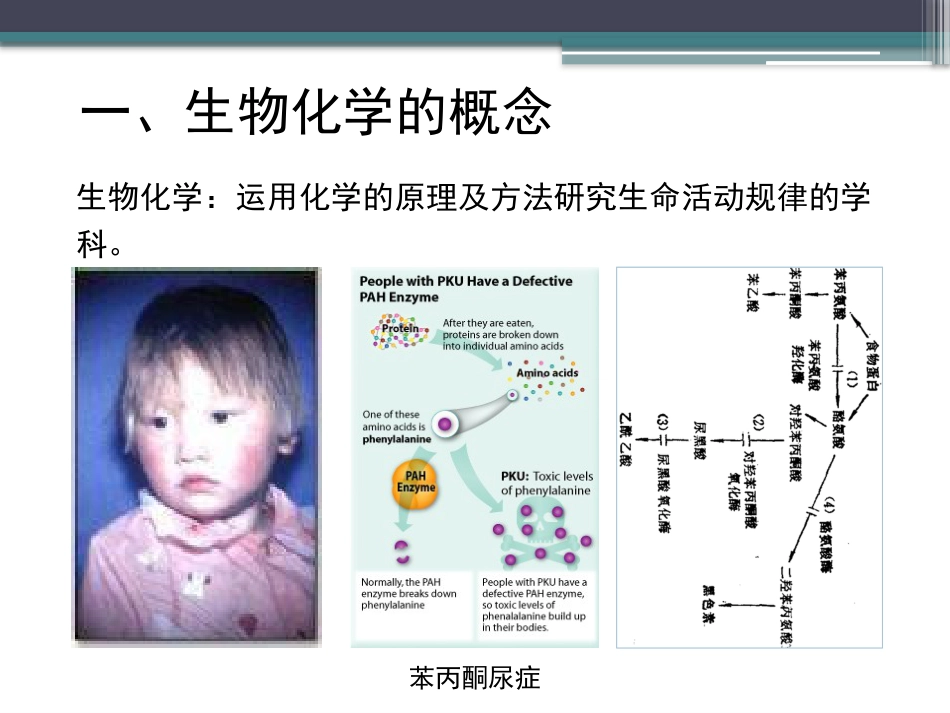 (21)--知识点1-生物化学绪论_第2页