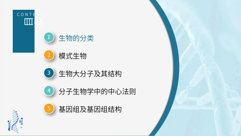 (22)--2.5.3基因组及其结构-真核基因组_第2页