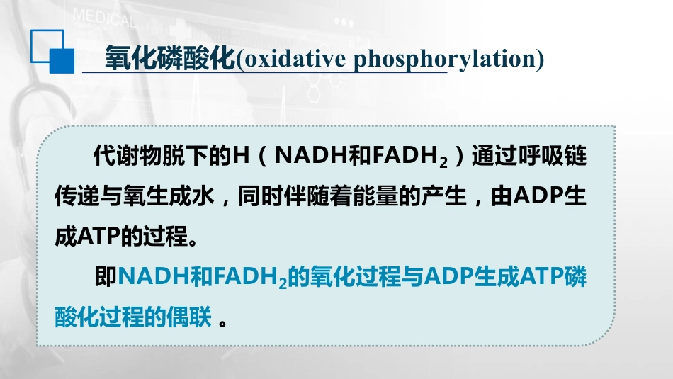 (22)--5.3 氧化磷酸化生物化学与分子生物学_第2页