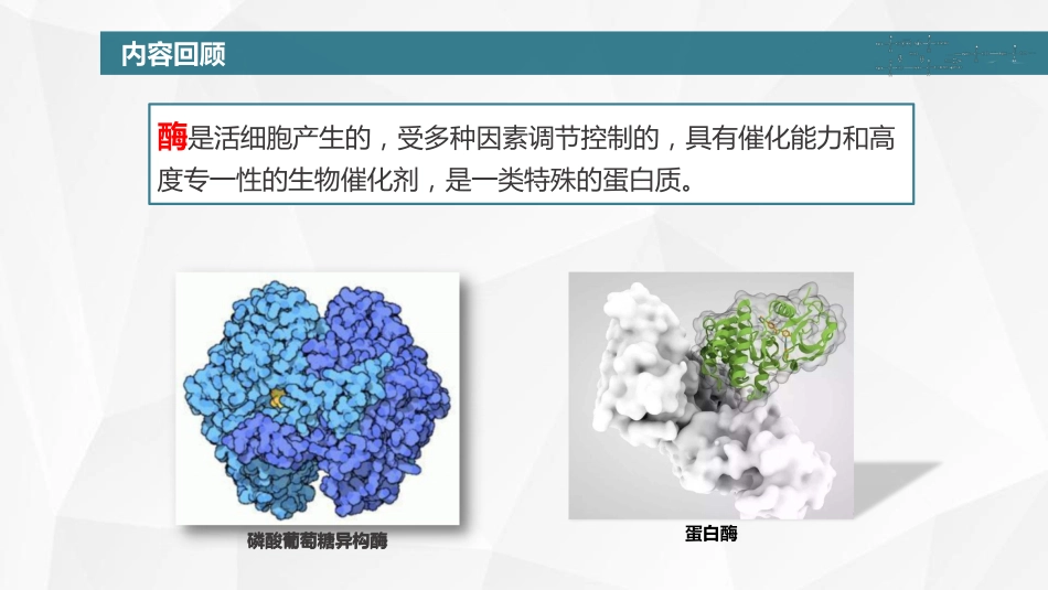 (22)--12 酶活性中心特点_第3页