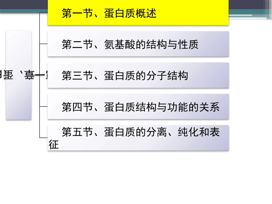 (22)--知识点2-蛋白质的概述_第2页