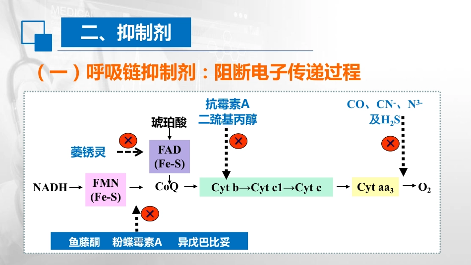 (23)--5.4 影响氧化磷酸化的因素_第3页