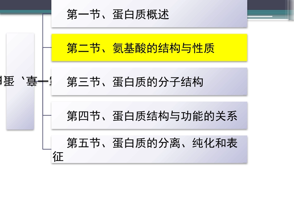 (23)--知识点3-氨基酸的基本结构_第2页