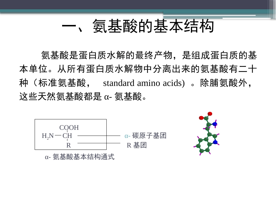 (23)--知识点3-氨基酸的基本结构_第3页