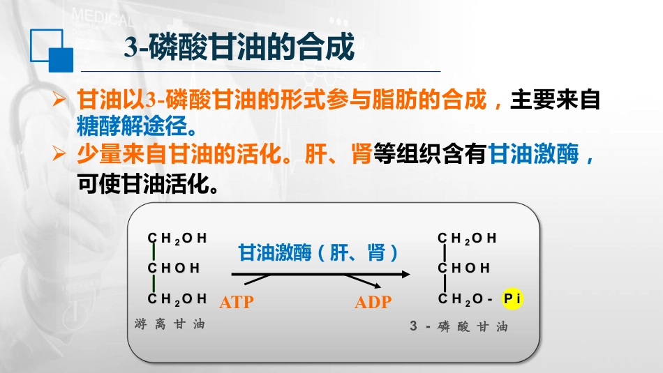 (24)--6.1甘油三酯的合成_第3页