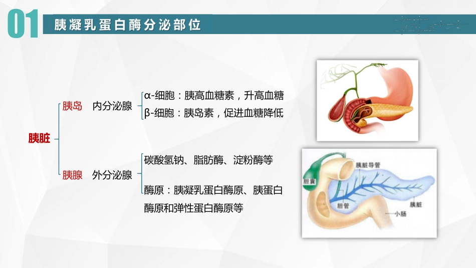 (25)--14 胰凝乳蛋白酶生物化学_第3页