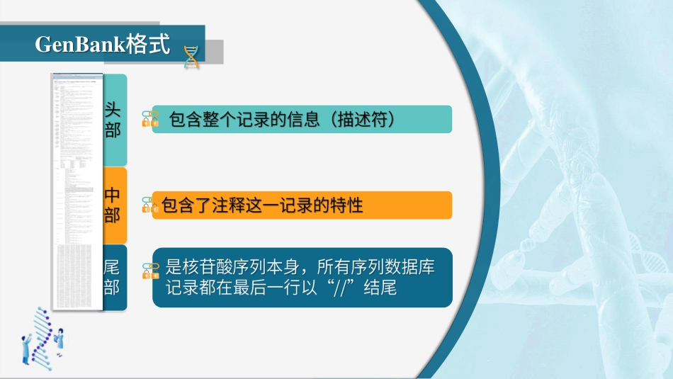 (26)--3.2.5 NCBI中重要子库介绍GenBank（下）_第3页