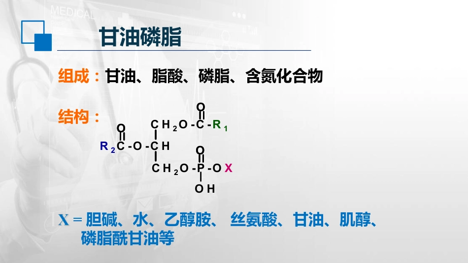 (26)--6.3磷脂的代谢生物化学与分子生物学_第3页