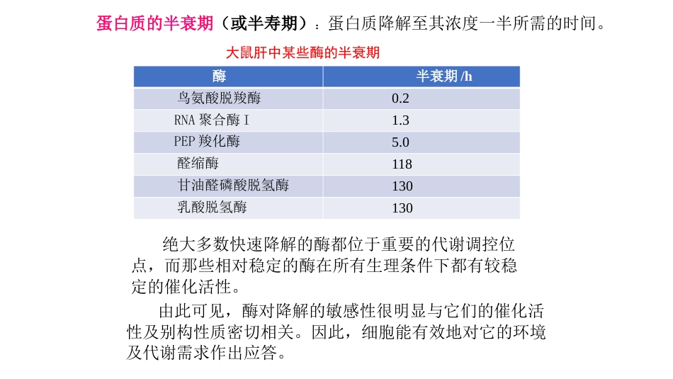 (26)--蛋白质的降解生物化学_第2页