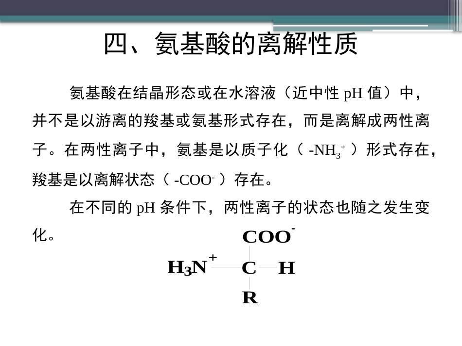 (26)--知识点6-氨基酸的离解性质_第3页