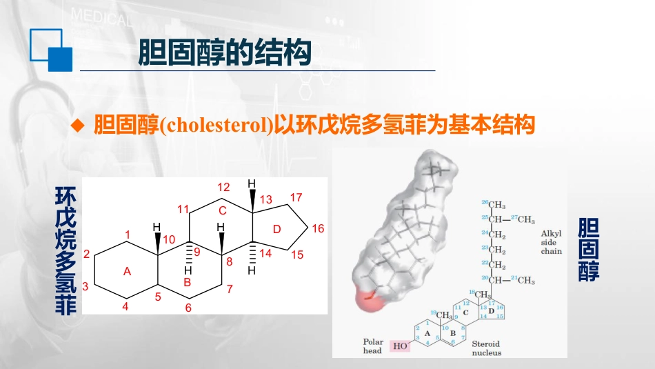 (27)--6.5胆固醇的代谢生物化学与分子生物学_第2页