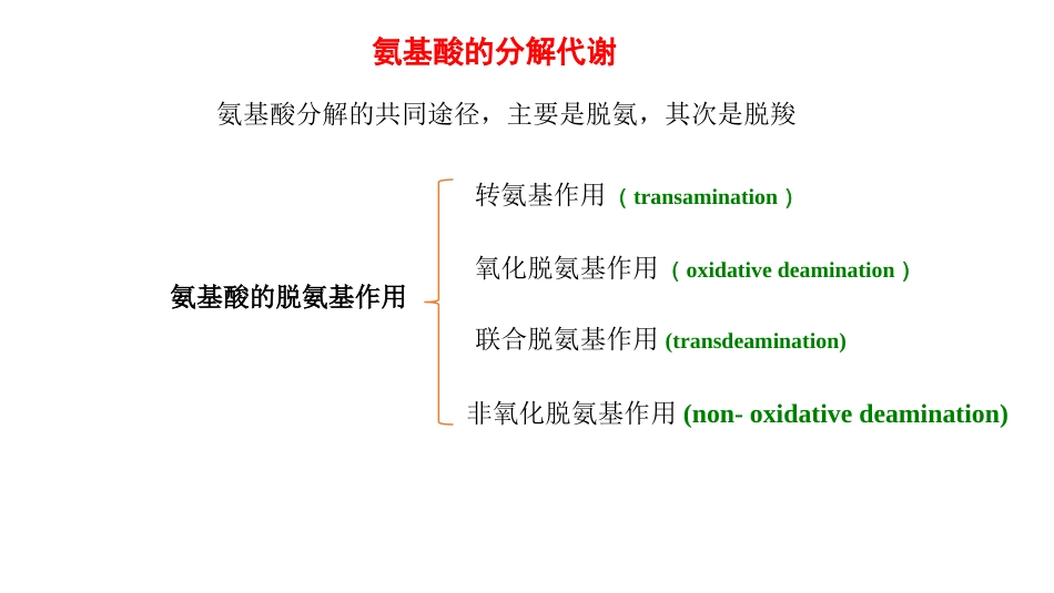 (27)--转氨基作用生物化学_第2页