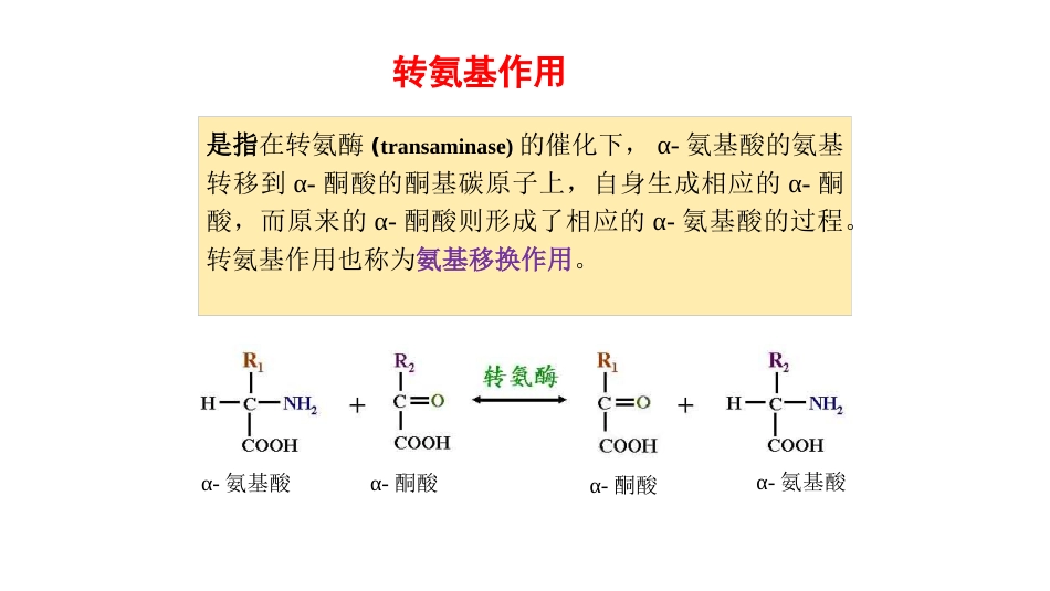 (27)--转氨基作用生物化学_第3页