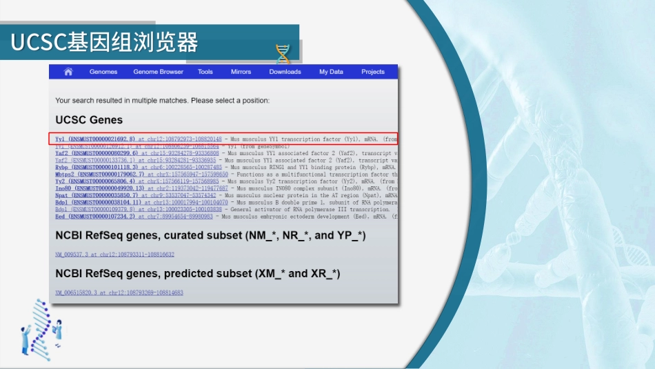 (29)--3.3.2 UCSC基因组浏览器生物信息学_第3页