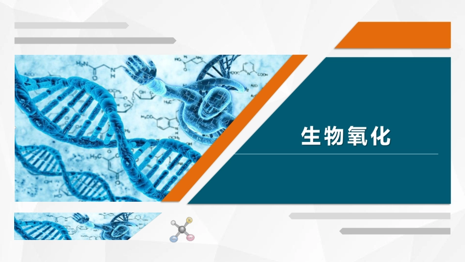 (29)--17 生物氧化生物化学_第1页