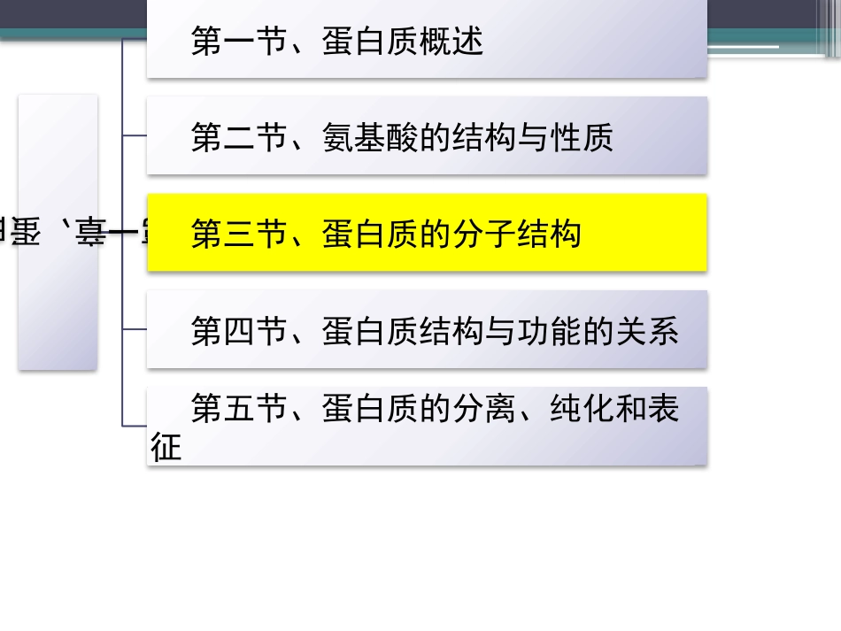 (29)--知识点9-蛋白质的结构概述_第2页