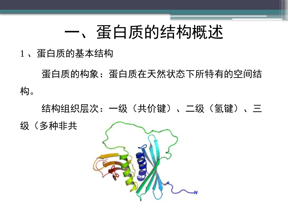 (29)--知识点9-蛋白质的结构概述_第3页