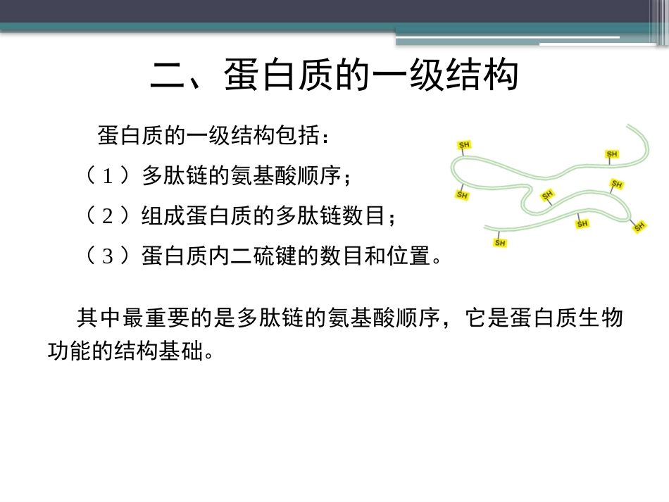 (30)--知识点10-蛋白质的一级结构1_第3页