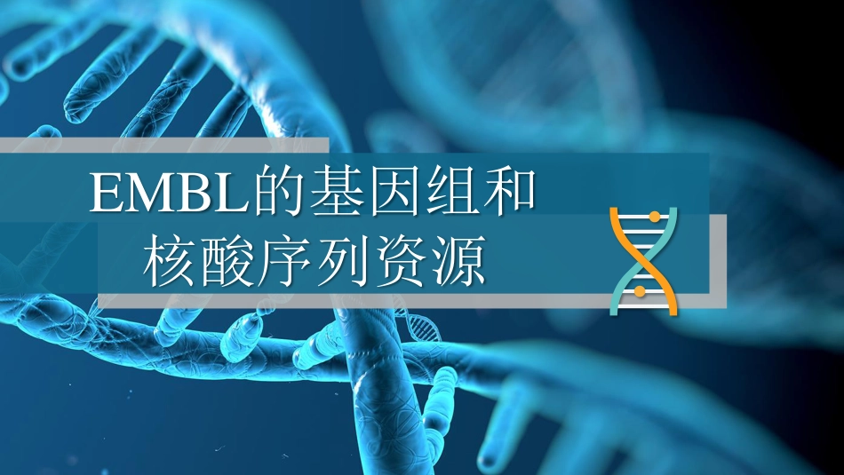 (33)--3.4.2 EMBL的基因组和核酸序列资源_第1页