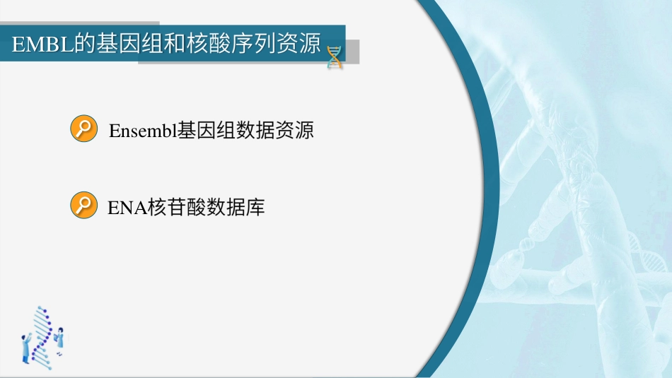 (33)--3.4.2 EMBL的基因组和核酸序列资源_第2页