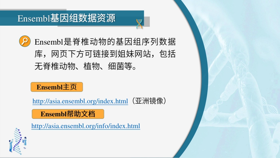 (33)--3.4.2 EMBL的基因组和核酸序列资源_第3页