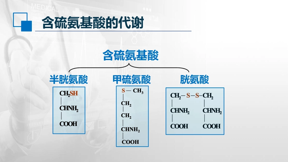 (33)--7.5含硫氨基酸代谢_第2页