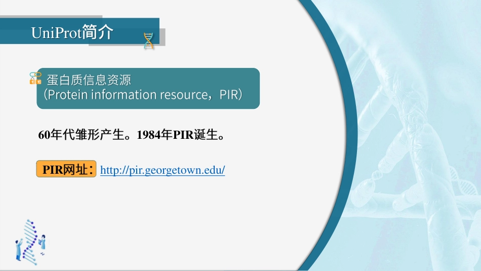 (34)--3.4.3 UniProt蛋白质数据库生物信息学_第2页