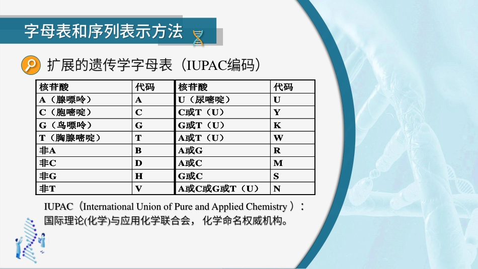 (36)--4.1.2序列比对基础-字母表和序列表示方法_第3页