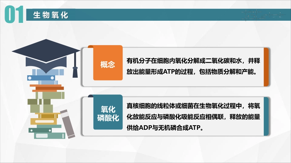 (37)--23 氧化磷酸化抑制剂_第3页