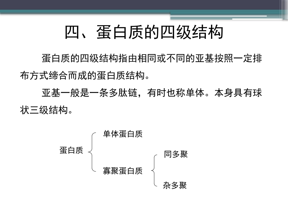 (37)--知识点17-蛋白质的四级结构_第3页