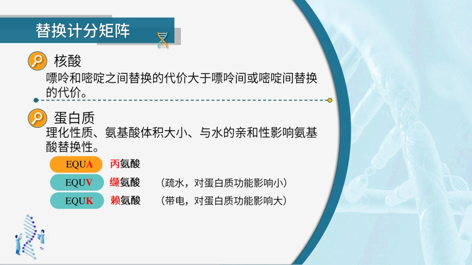 (38)--4.1.4序列比对基础-核酸计分矩阵_第2页