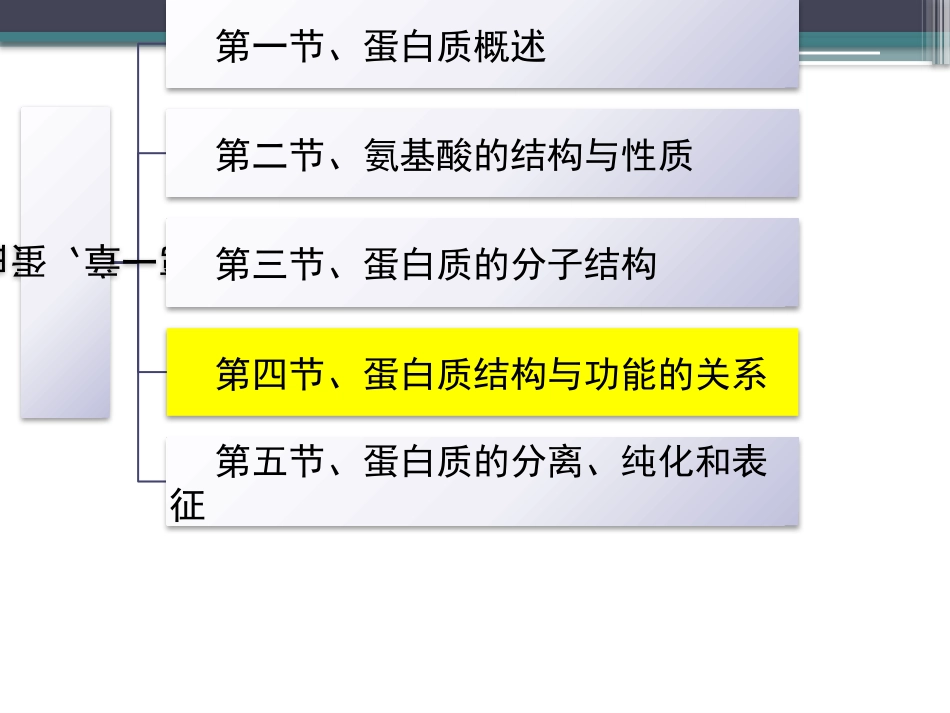 (38)--知识点18-蛋白质的结构决定其功能_第2页