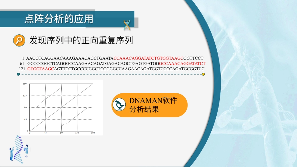 (41)--4.2.2 点阵序列比较-点阵图应用_第3页