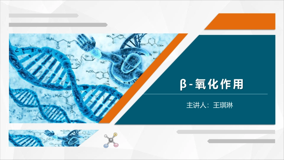 (41)--26 β-氧化作用生物化学_第2页