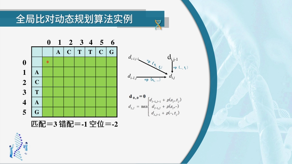 (43)--4.2.4动态规划算法-全局比对实例_第3页