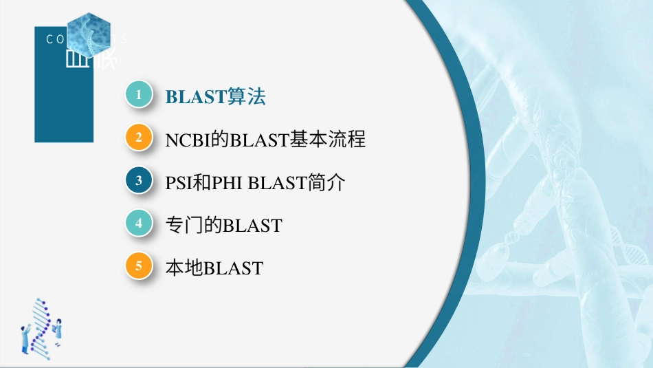 (45)--4.3.1BLAST算法生物信息学_第2页