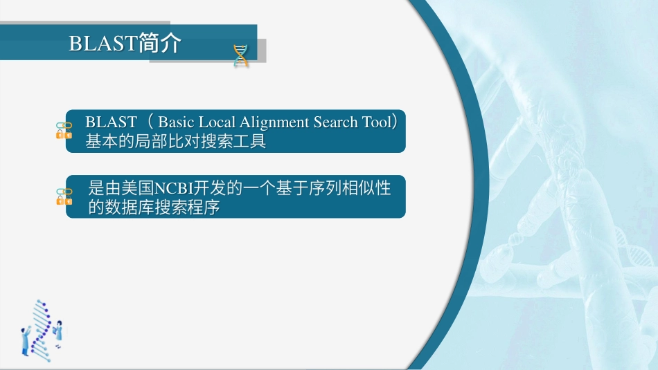 (45)--4.3.1BLAST算法生物信息学_第3页
