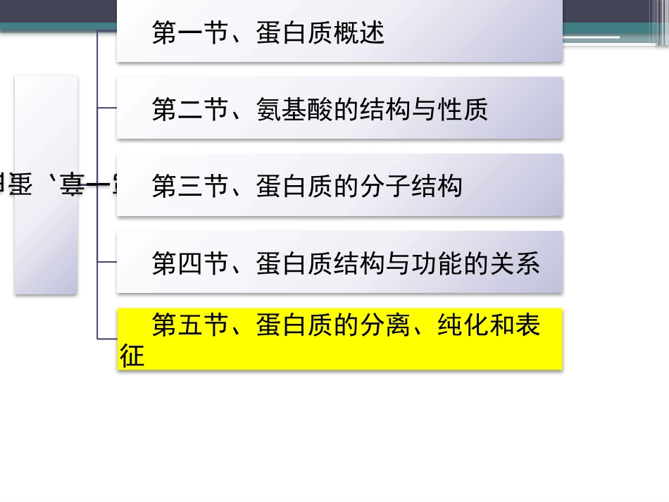 (45)--知识点25-蛋白质的性质_第2页